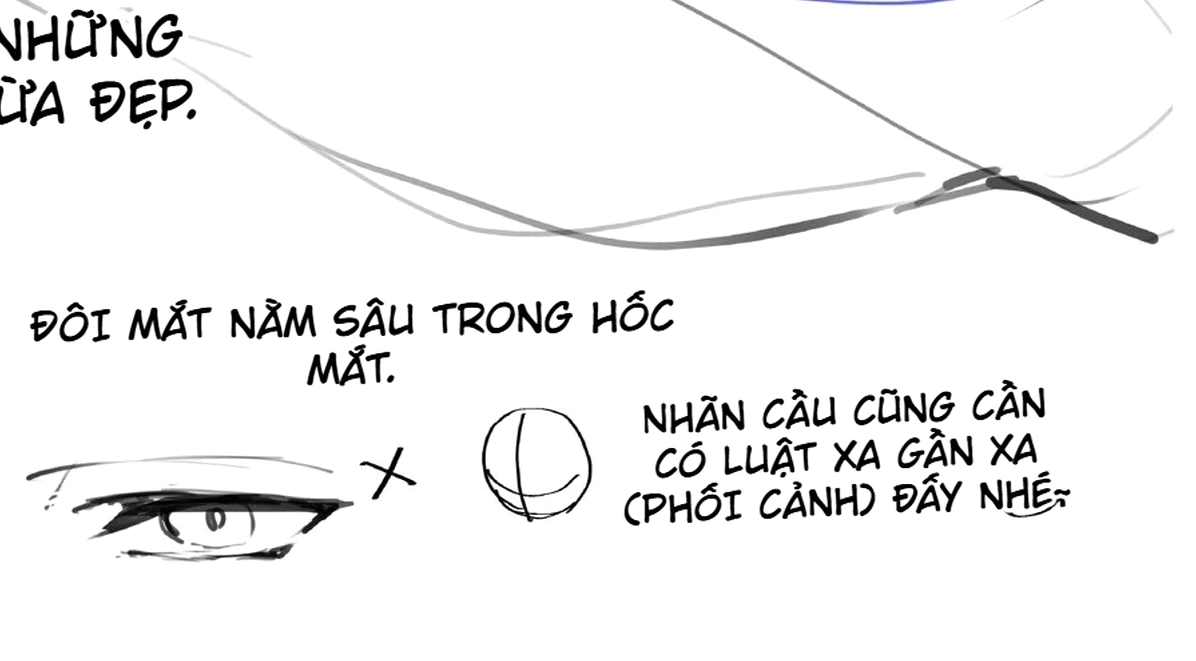 Sơ đồ nhãn cầu theo phối cảnh cùng cách đặt đồng tử và hướng nhìn trong khuôn mặt góc nhìn từ trên cao.
