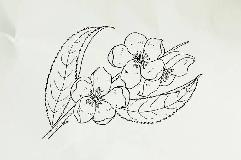 Thêm chi tiết lá non cho cành đào