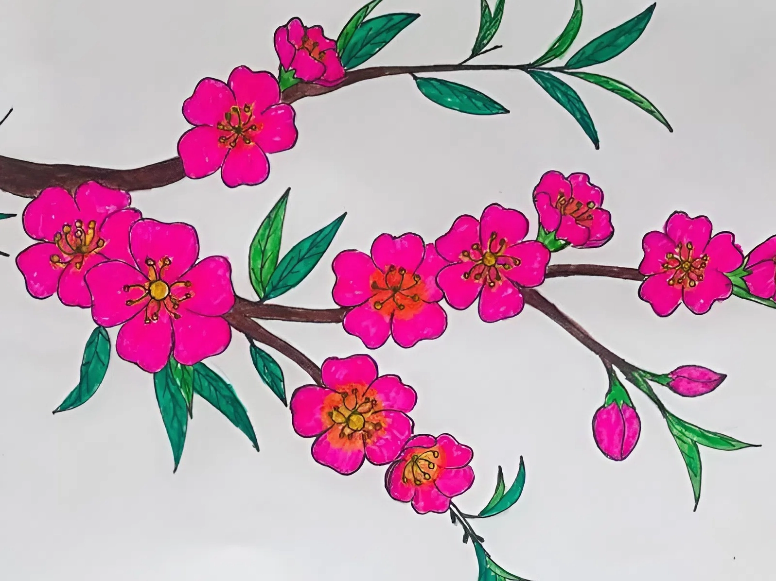 Tranh vẽ cành đào chi tiết