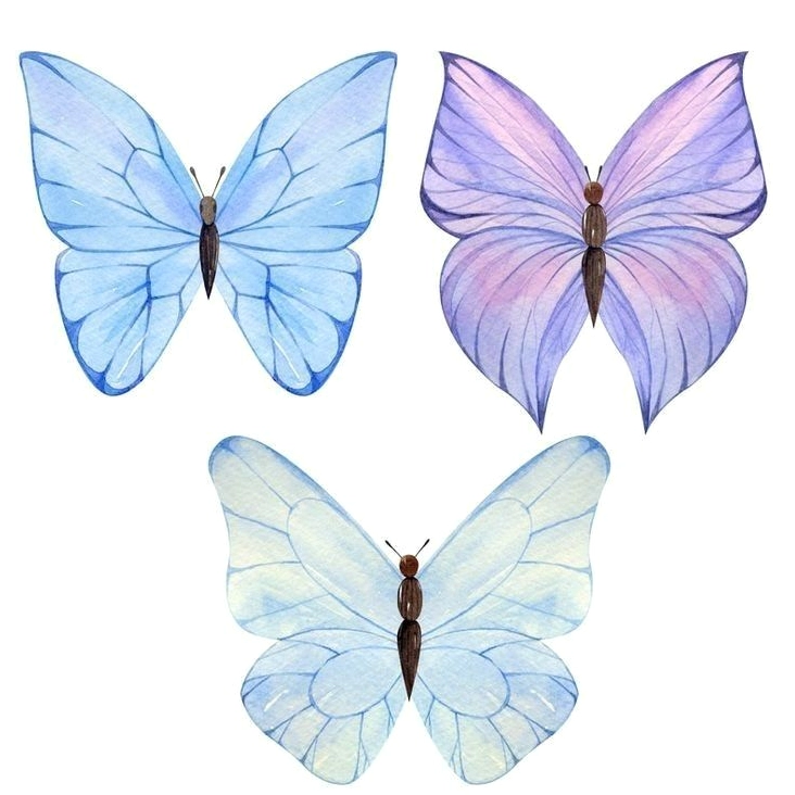 Tranh vẽ con bướm đẹp