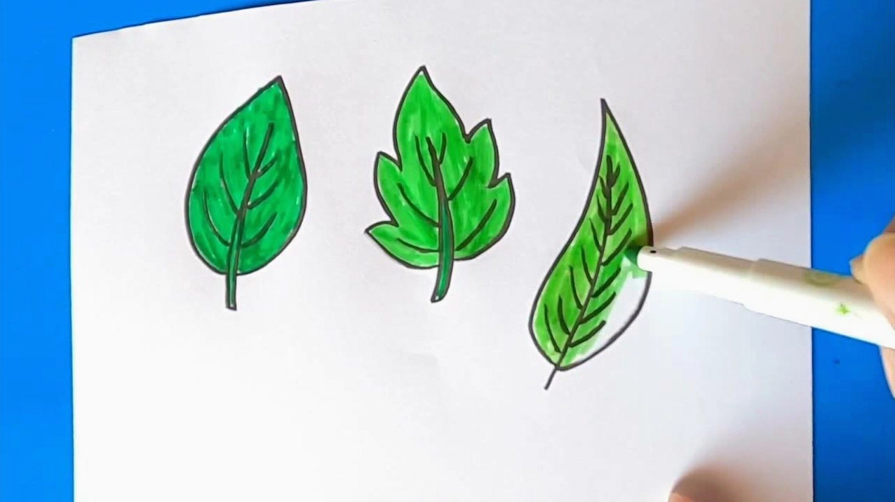 Vẽ các chi tiết lá chuối và đường gân