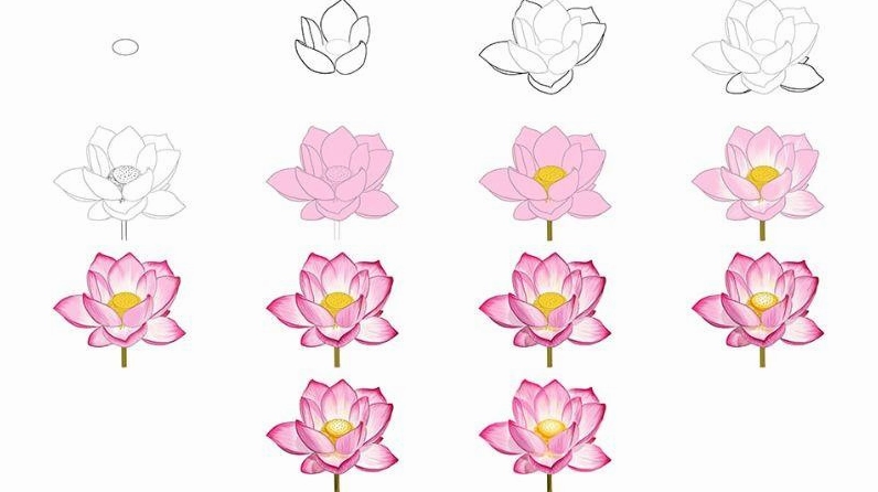 Vẽ các lớp của Hoa Sen