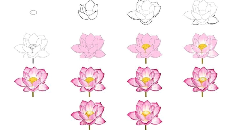 Vẽ các lớp của Hoa Sen