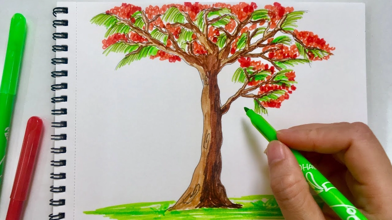 Vẽ cành và lá hoa phượng