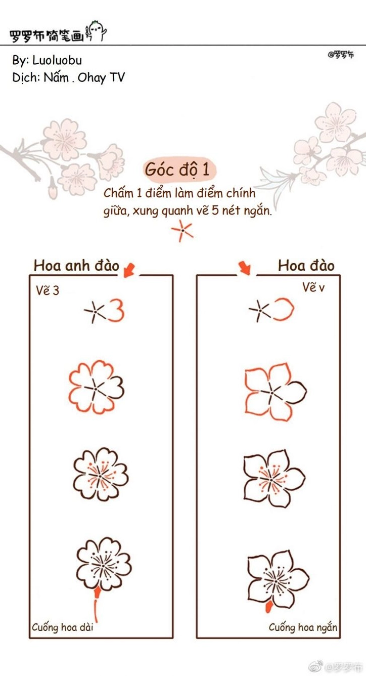 Vẻ đẹp rực rỡ của hoa đào với nhiều sắc hồng khác nhau