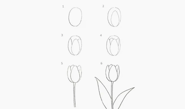 Vẽ hoa Tulip cute phong cách Chibi