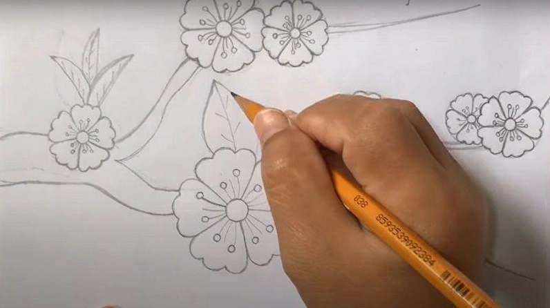 Vẽ nụ hoa và cách Hoa Đào
