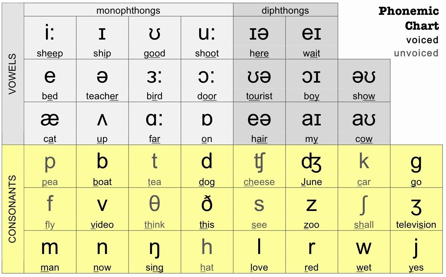 Ví dụ biểu đồ hình quạt tròn được tạo bởi phần mềm