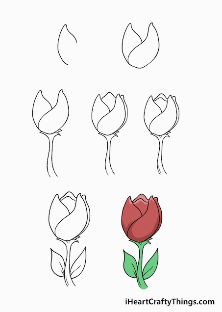 Bí Kíp Vẽ Hoa Tulip Đơn Giản Nhất: Hướng Dẫn Chi Tiết Cho Người Mới