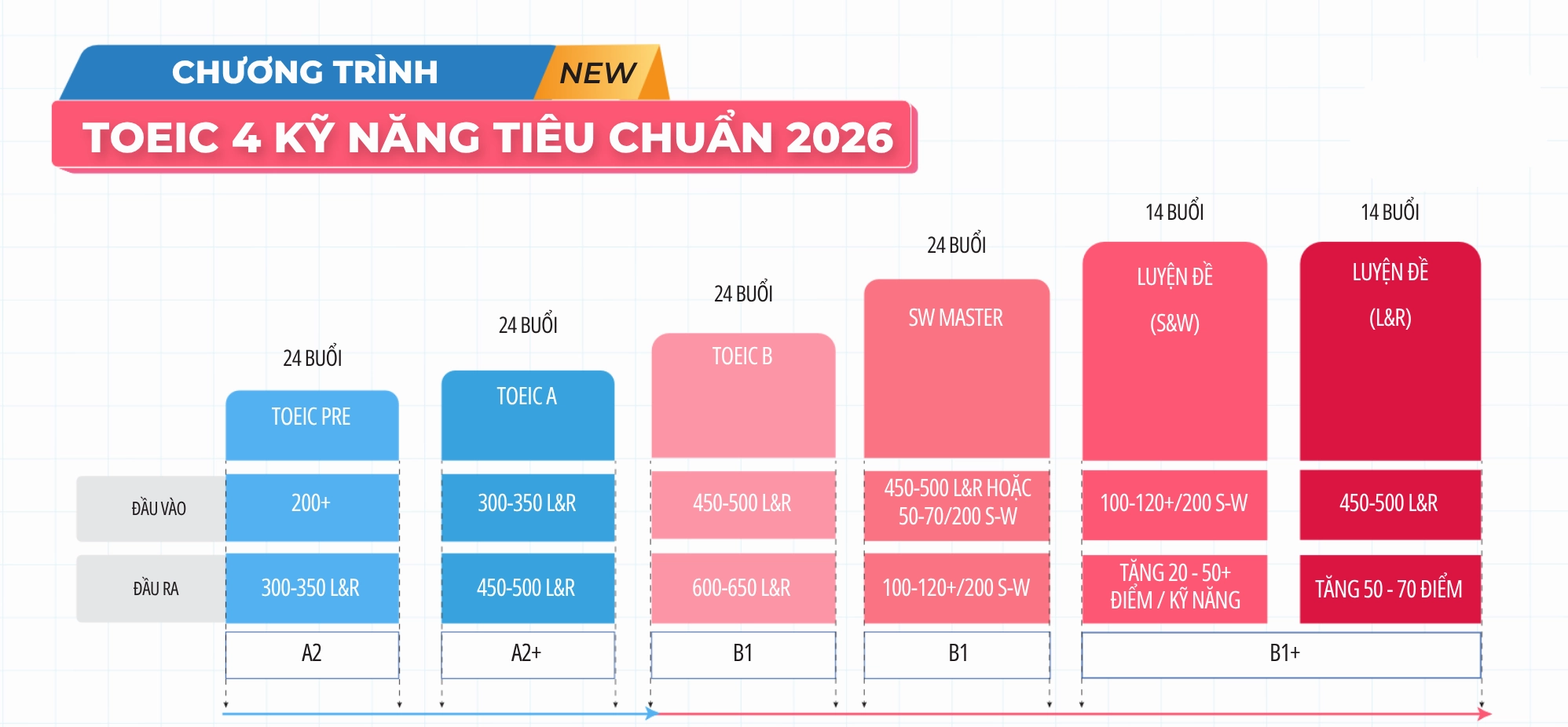 Biểu đồ lộ trình học tập