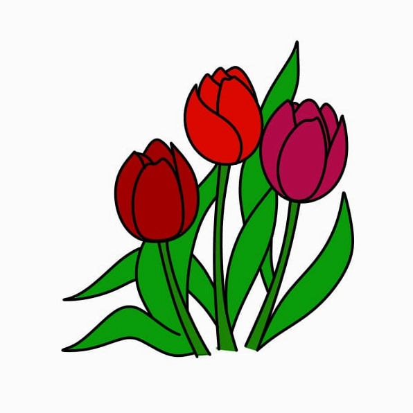Bó hoa tulip hoàn chỉnh bằng bút chì