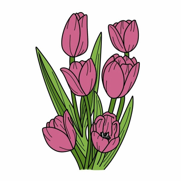 Bó hoa tulip nhiều màu sắc