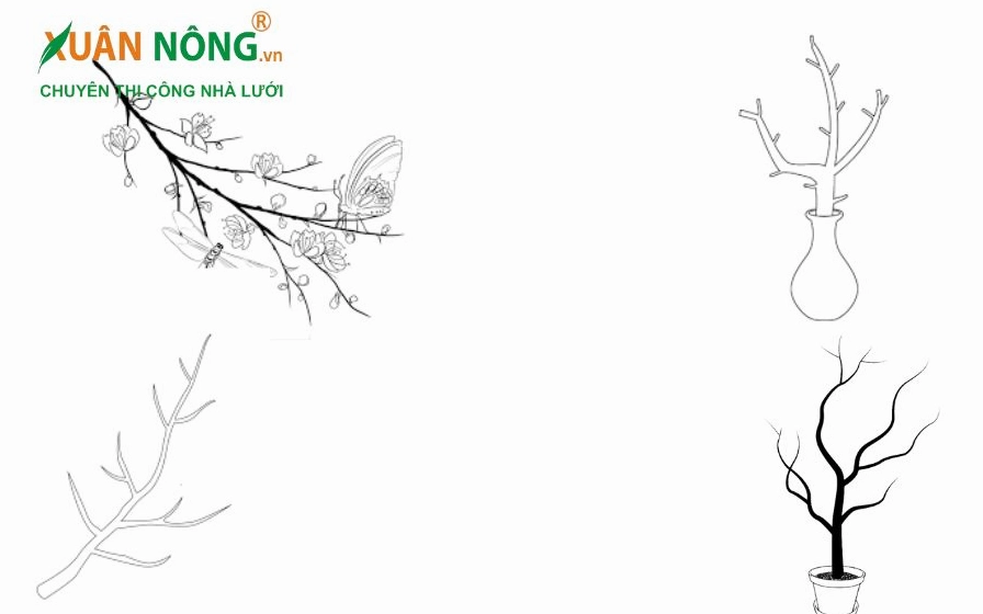 Bước 3: Vẽ nhánh và lá
