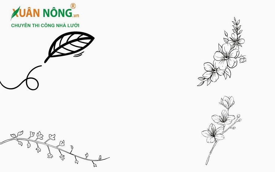 Bước 4: Tạo ánh sáng và bóng