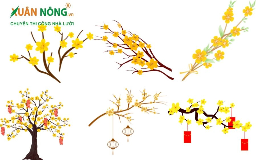 Bước 5: Tạo chi tiết và hoàn thiện
