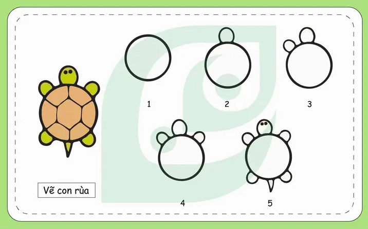 Cách Vẽ Hình Con Rùa