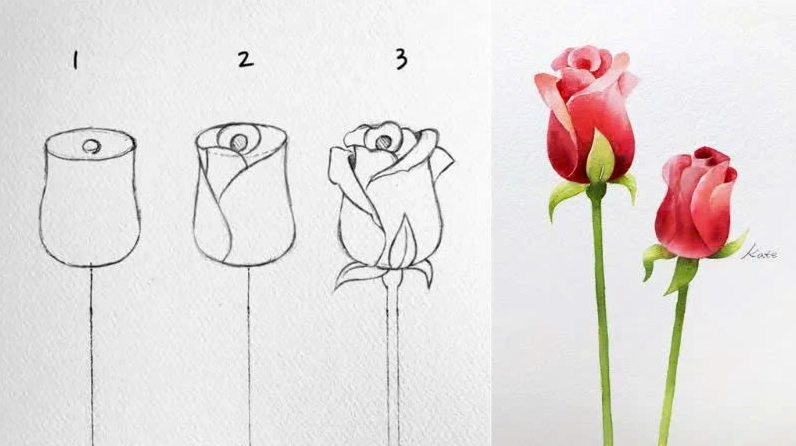 Cách vẽ hoa hồng chi tiết