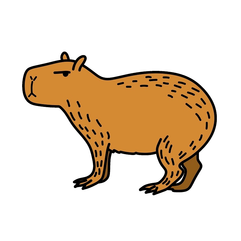 Capybara với biểu cảm vô tri, mắt hơi lim dim