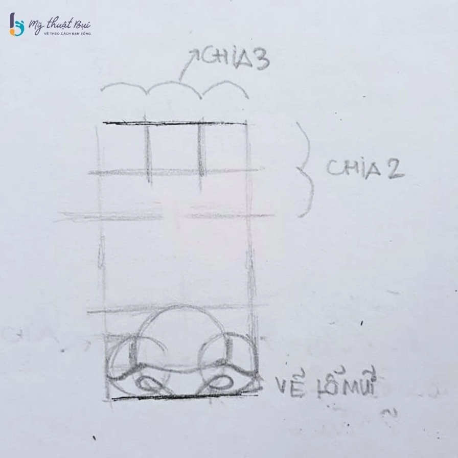 Chia phần trên cùng của mũi thành 2 phần
