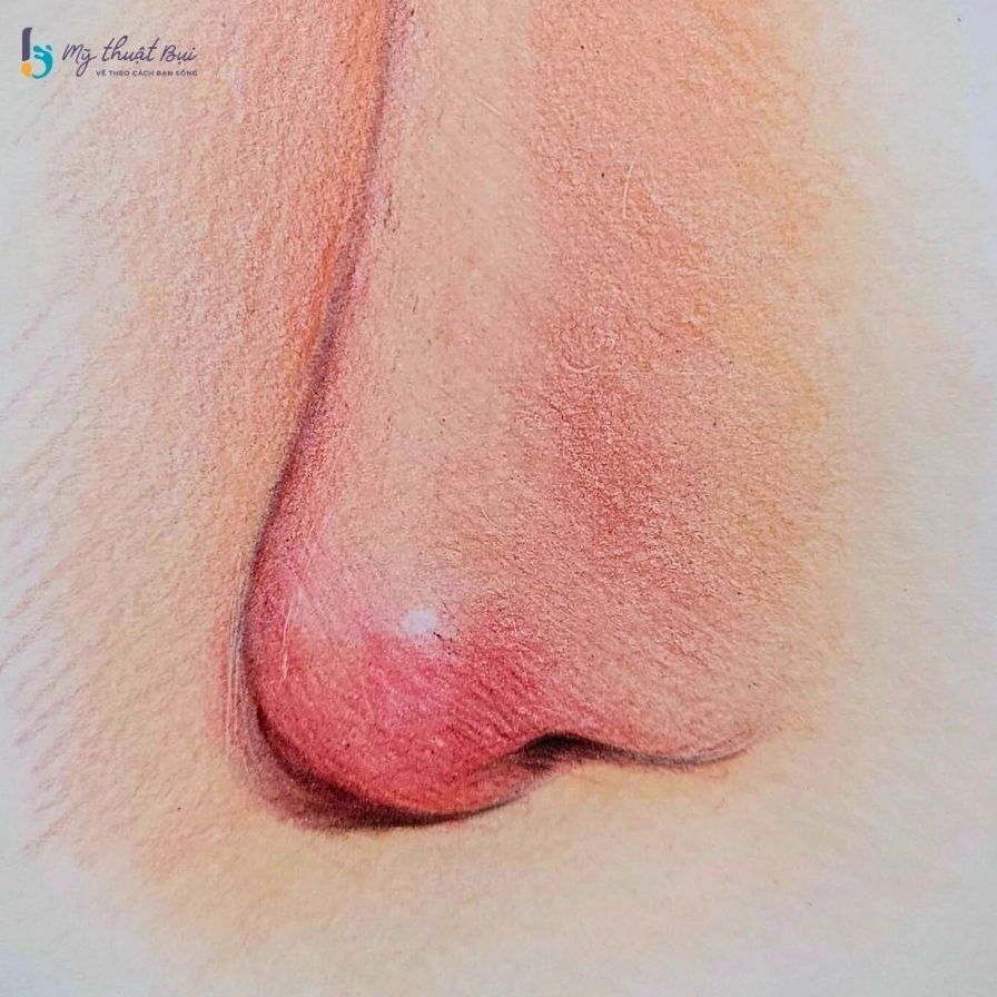 Hình vẽ mũi