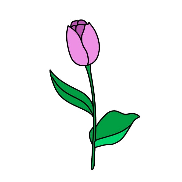 Hoàn thiện chi tiết cách vẽ bó hoa tulip