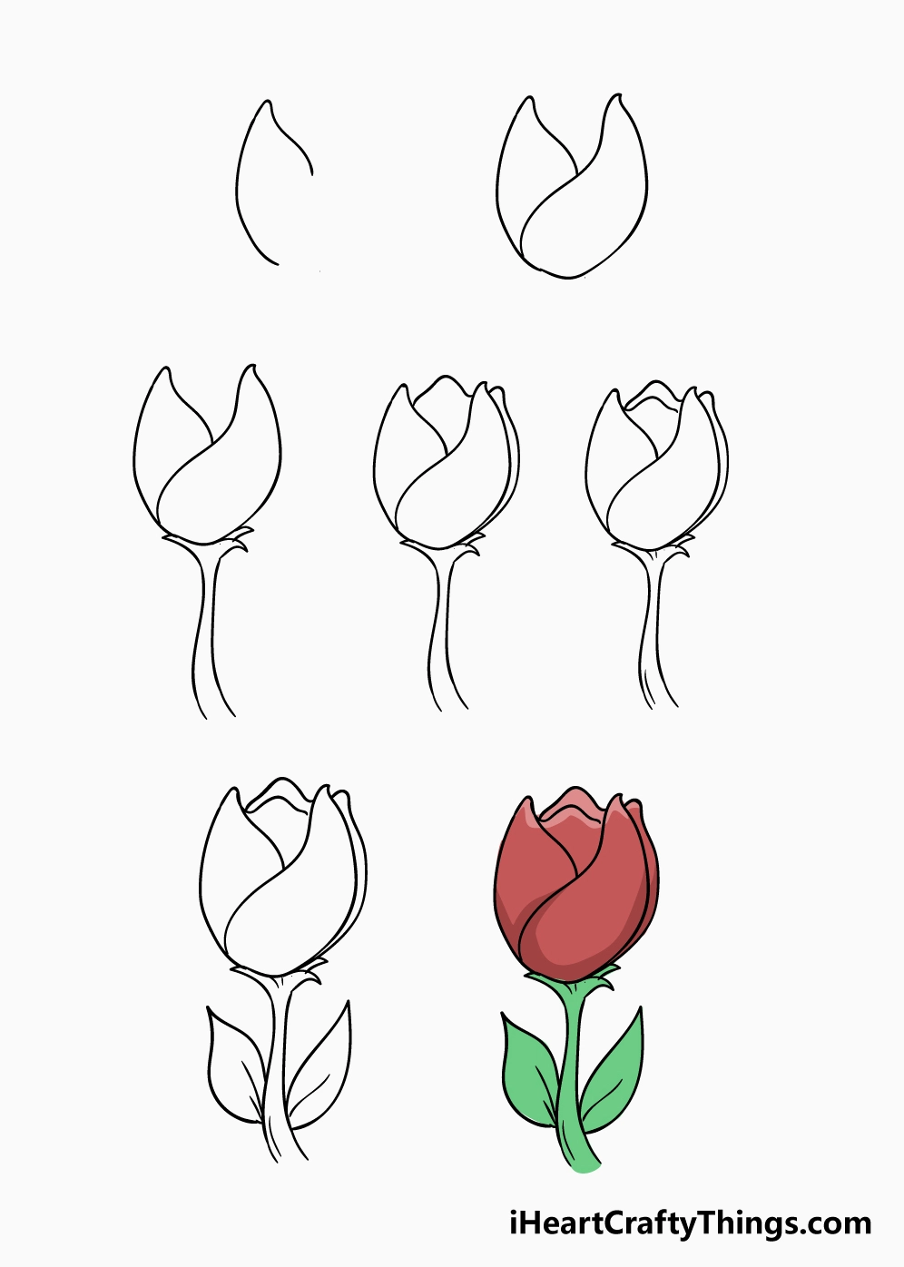 Hoàn thiện cuống và lá cho hoa tulip
