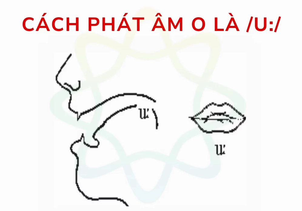 Hướng dẫn phát âm chữ 'o'