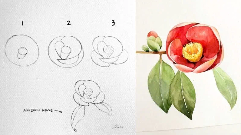 Hướng dẫn vẽ hoa Trà