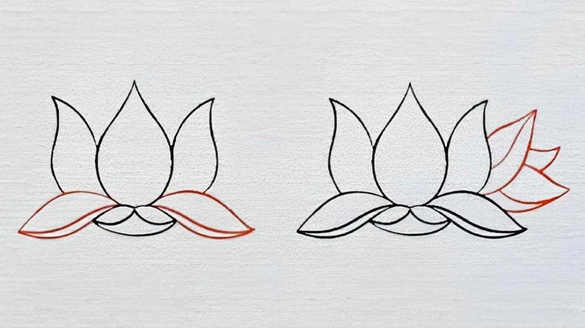 Phác thảo hình dáng hoa sen