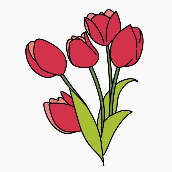 Tạo chiều sâu cho bó hoa tulip