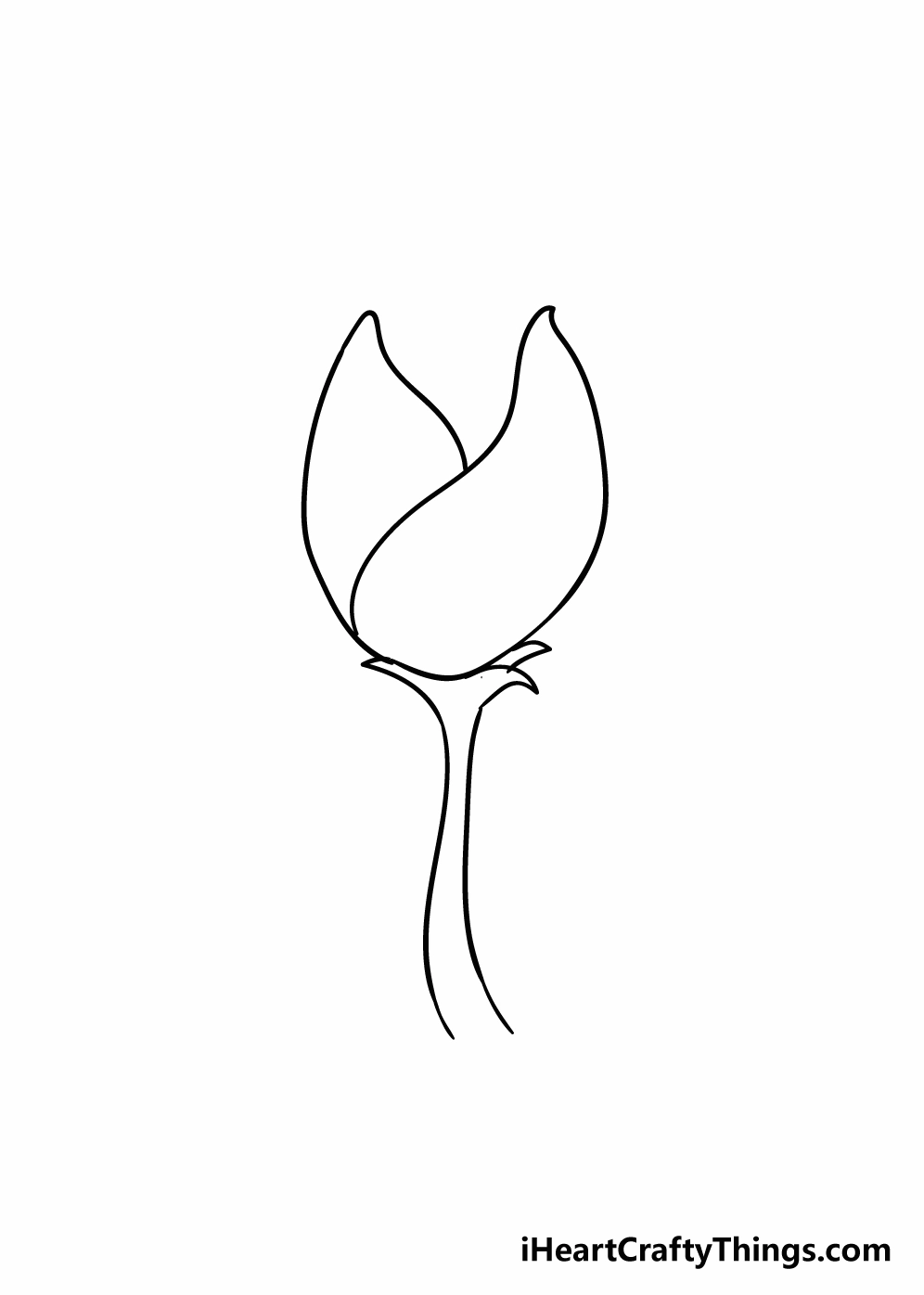 Tạo chiều sâu cho bông hoa tulip với các cánh hoa ẩn