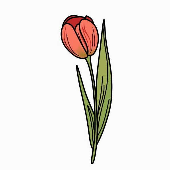 Thêm bóng đổ cho bó hoa tulip