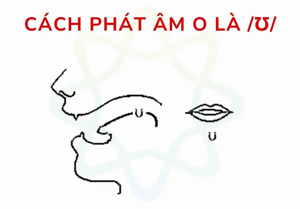 Ví dụ phát âm chữ 'o'