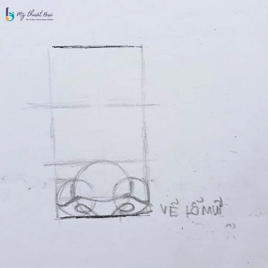 Xác định vị trí lỗ mũi